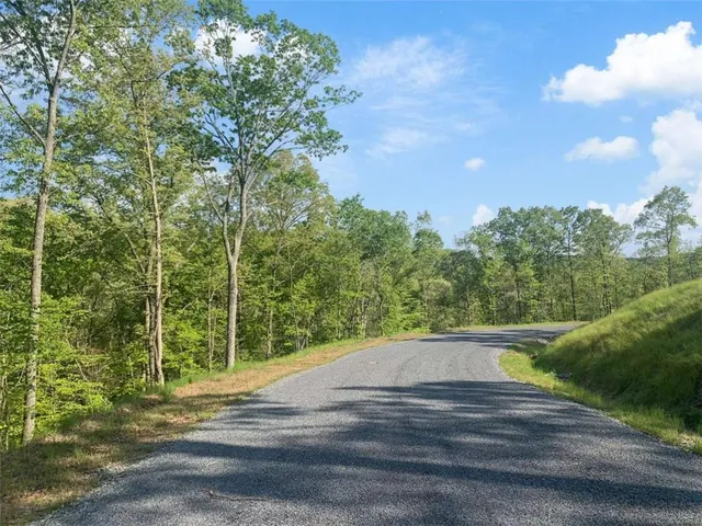 a view of a yard with plants and a bench