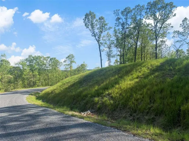 a view of a yard with plants and a bench