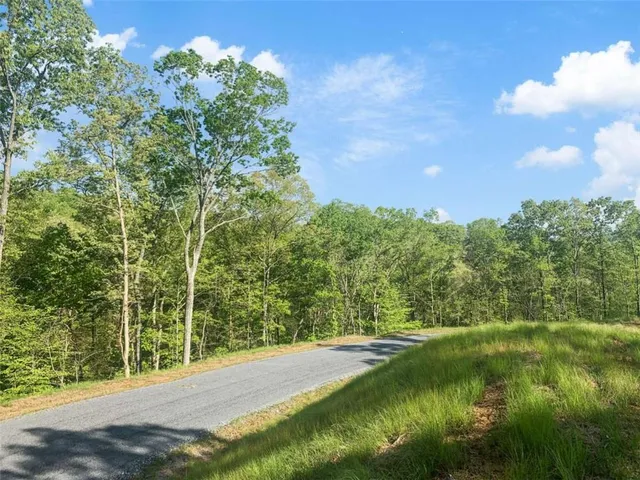 a view of a yard with a tree