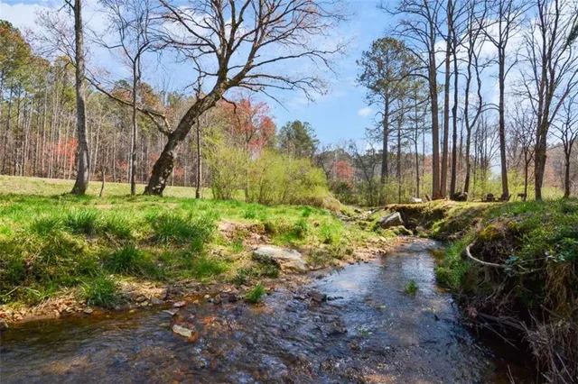 a view of a garden with trees