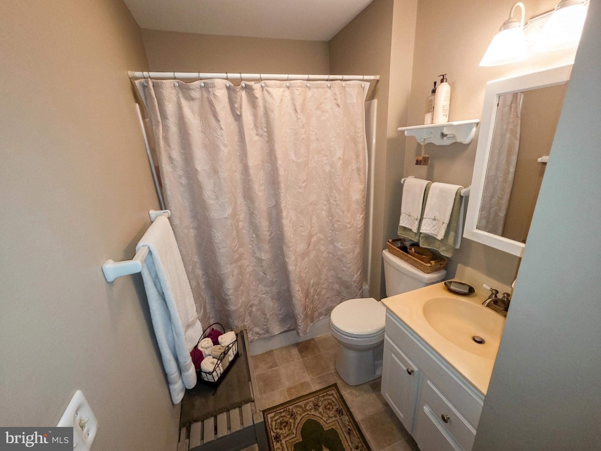 34 South Oak Street Lititz, PA 17543 - Photo 11 of 43 a bathroom with a sink a toilet a mirror and shower curtain