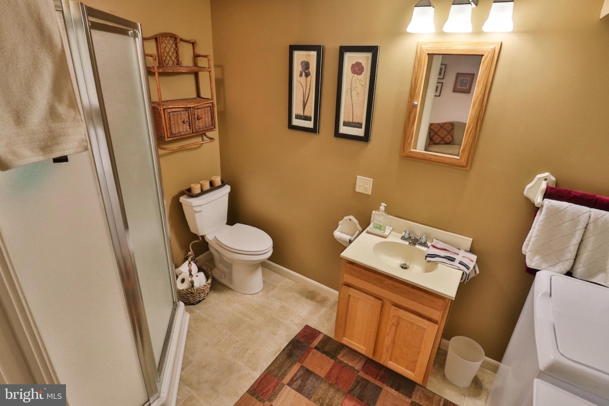 34 South Oak Street Lititz, PA 17543 - Photo 13 of 43 a bathroom with a sink and a toilet
