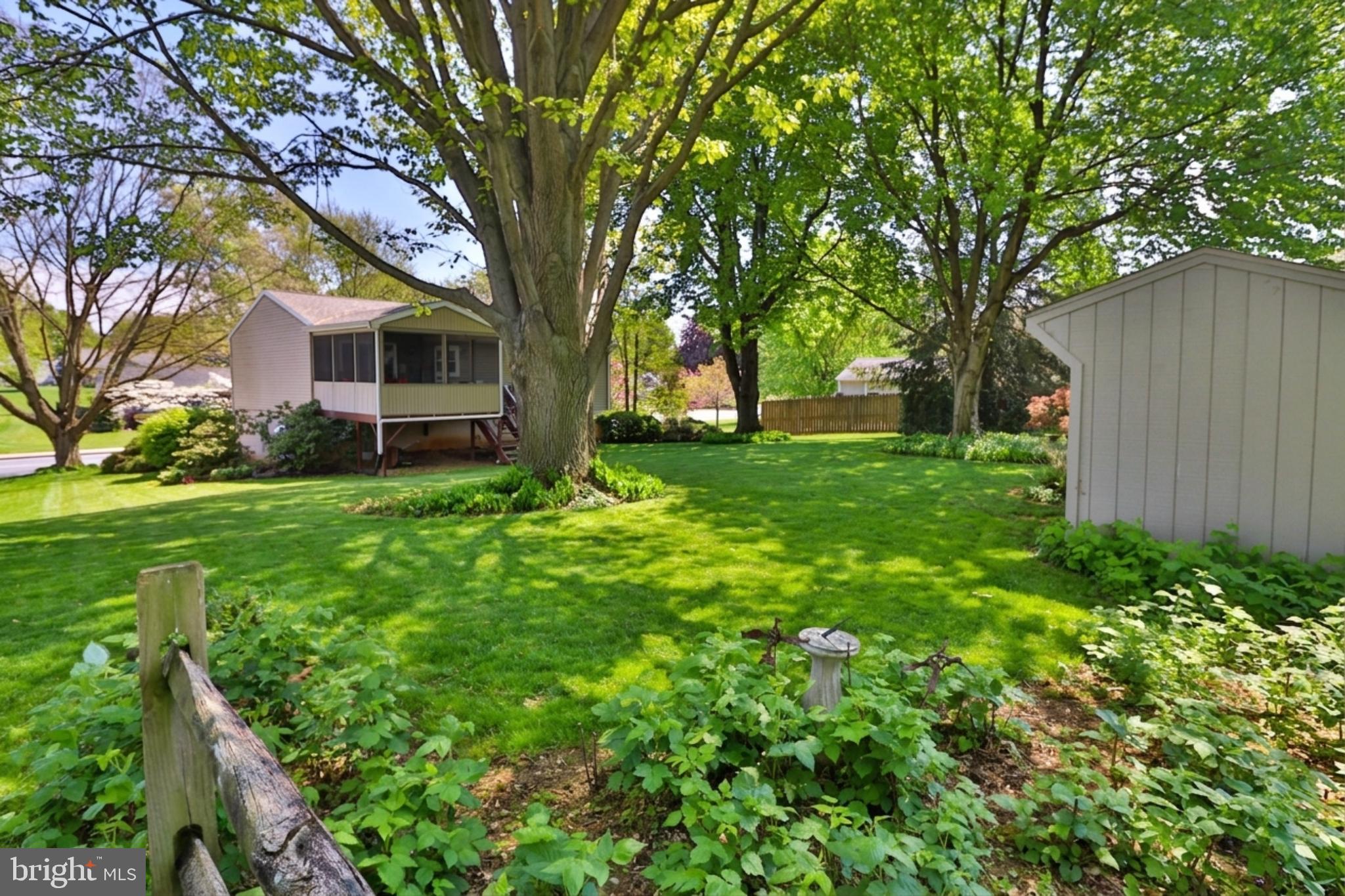 34 South Oak Street Lititz, PA 17543 - Photo 37 of 43 a tall tree in middle of green field