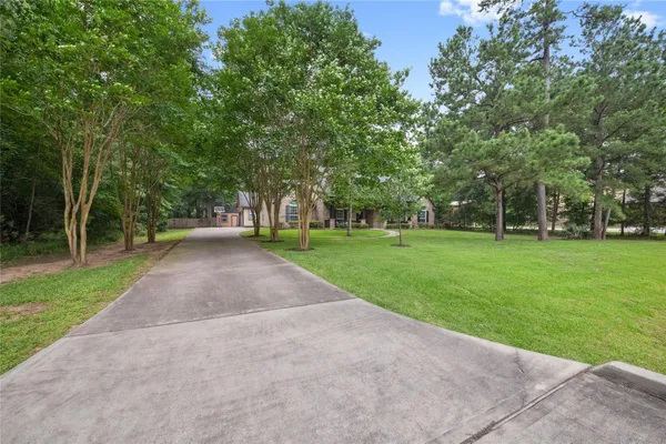 a view of a park with large trees