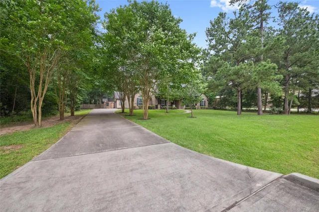 a view of a park with large trees