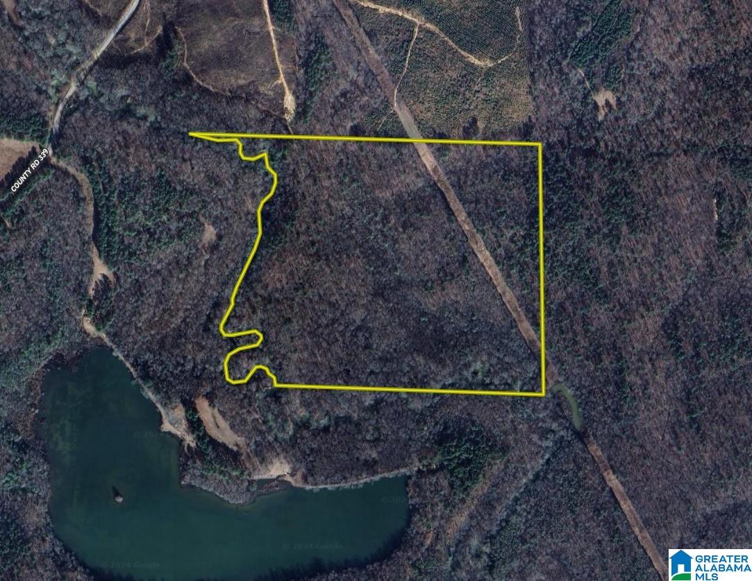 339 County Road Nauvoo, AL 35578 - Photo 55 of 57