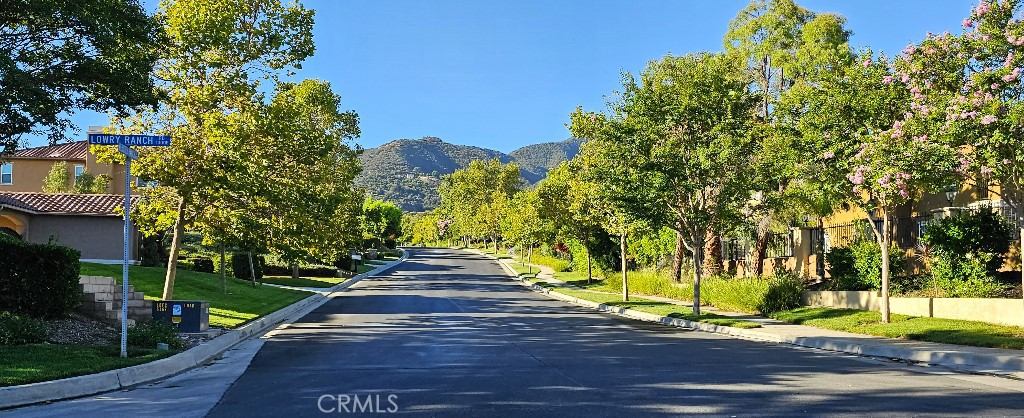 4182 Jameson Drive Corona, CA 92881 - Photo 13 of 19 a view of a yard with plants and trees