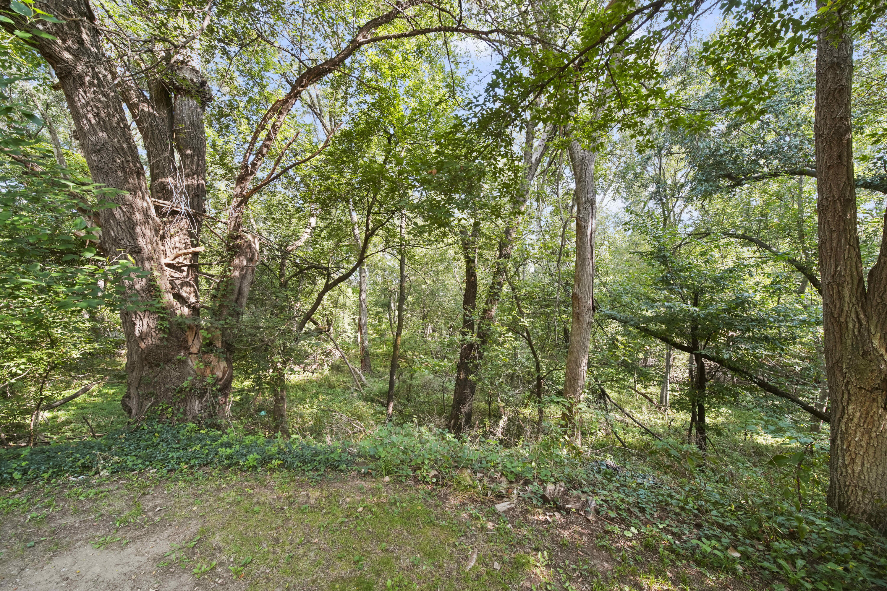 11131 Resort Road Pleasant Lake, MI 49272 - Photo 35 of 49 43-print-DSC07371