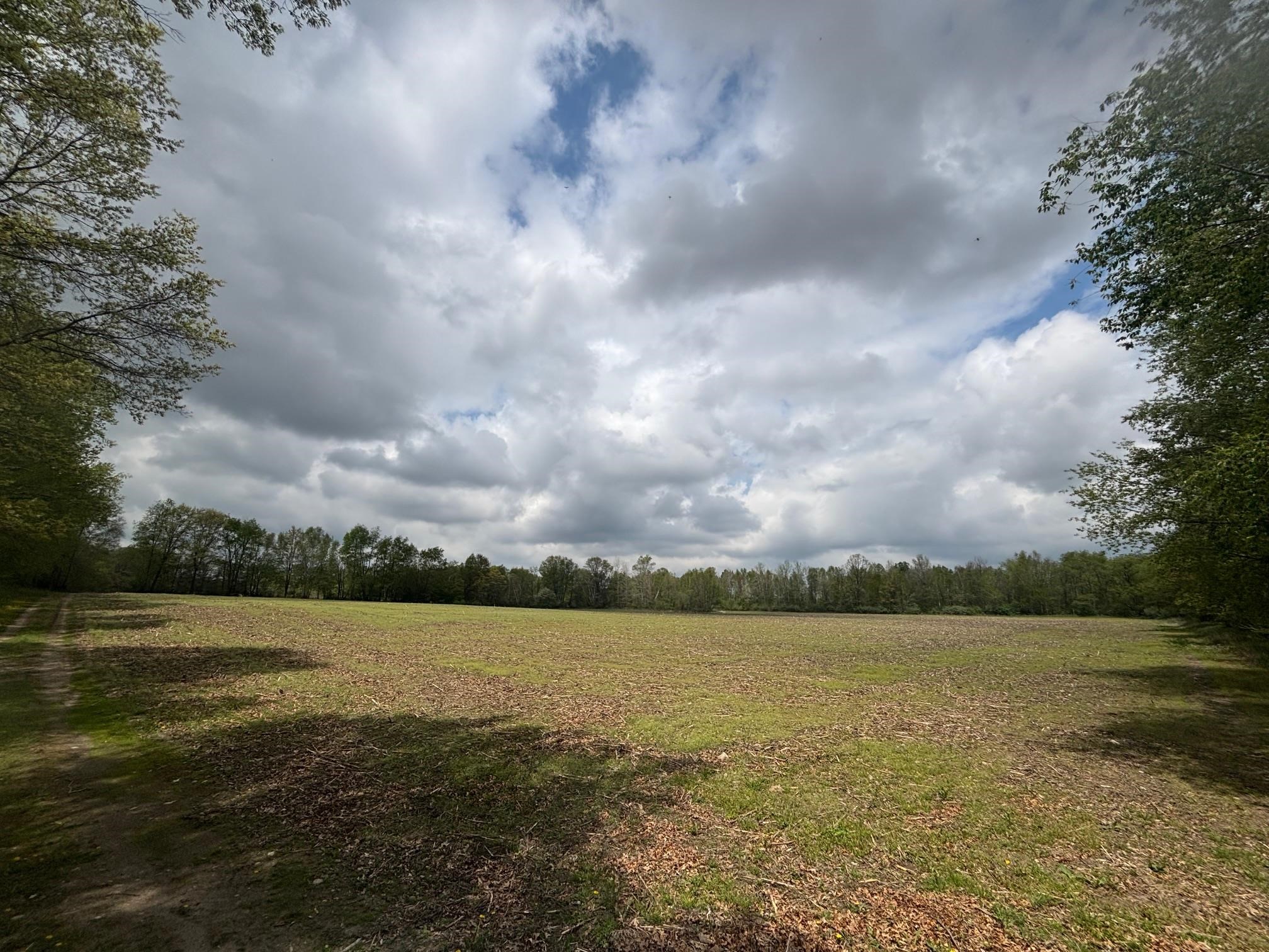 Tbd Neff Road Edmore, MI 48829 - Photo 5 of 12