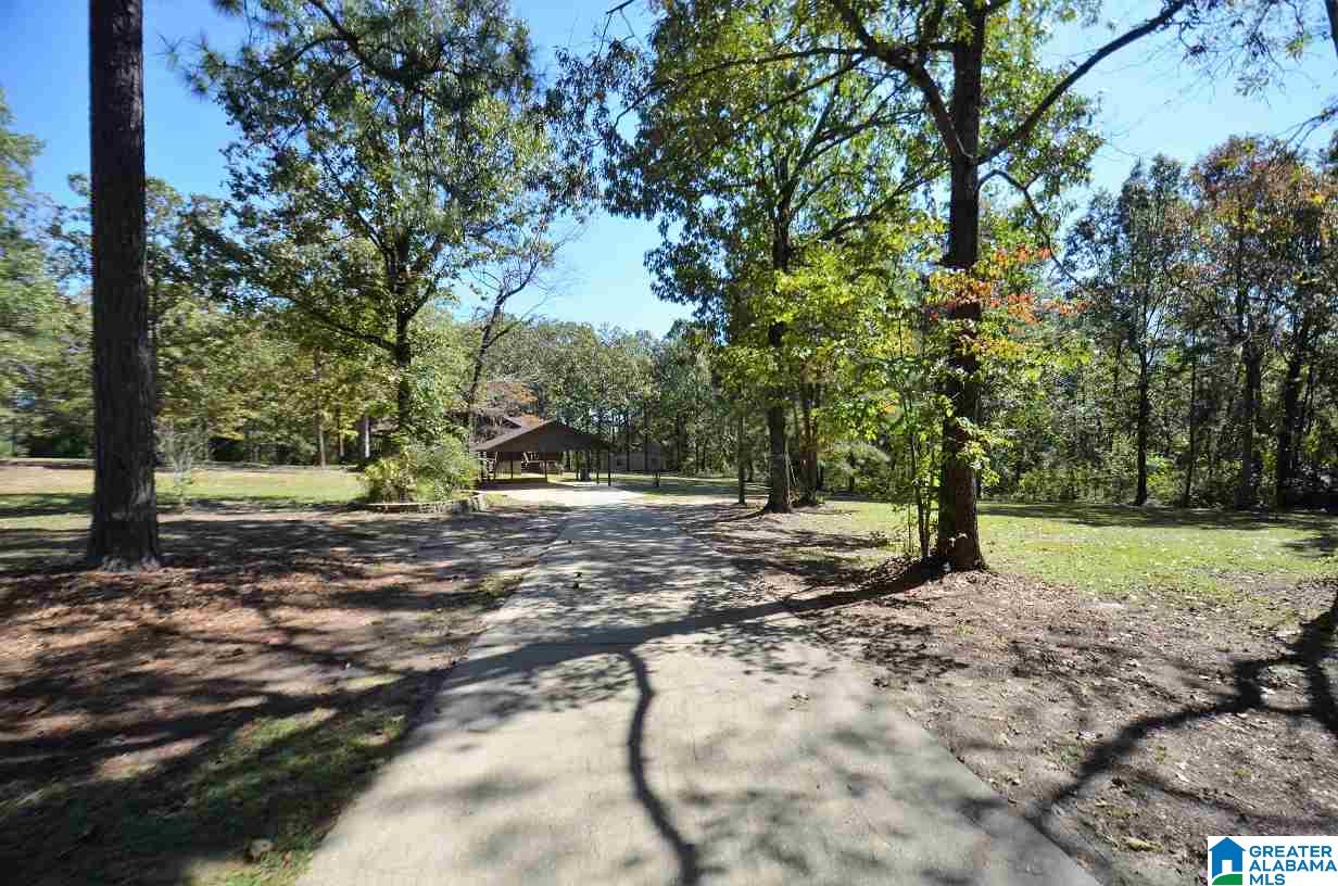 1351 Poplar Springs Road Clanton, AL 35046 - Photo 50 of 50