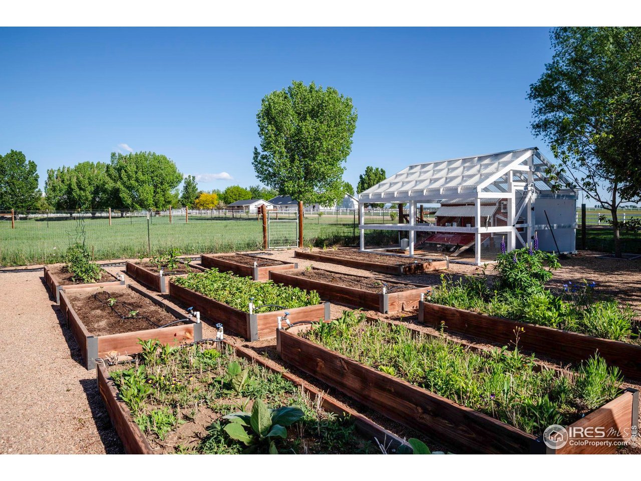 20360 County Road 3 Berthoud, CO 80513 - Photo 30 of 40 a view of a wooden bridge