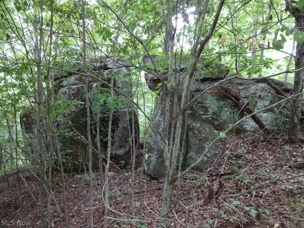 Bear Run Road Orma, WV 25268 - Photo 2 of 13