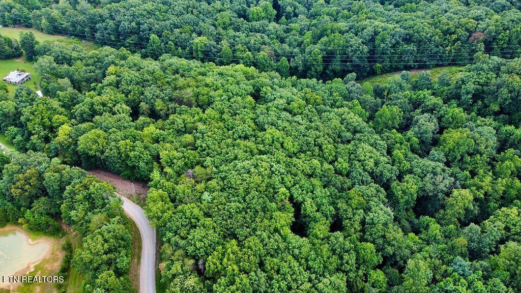 18.5-acres Raccoon Ridge Road Spring City, TN 37381 - Photo 18 of 37 6 racoon