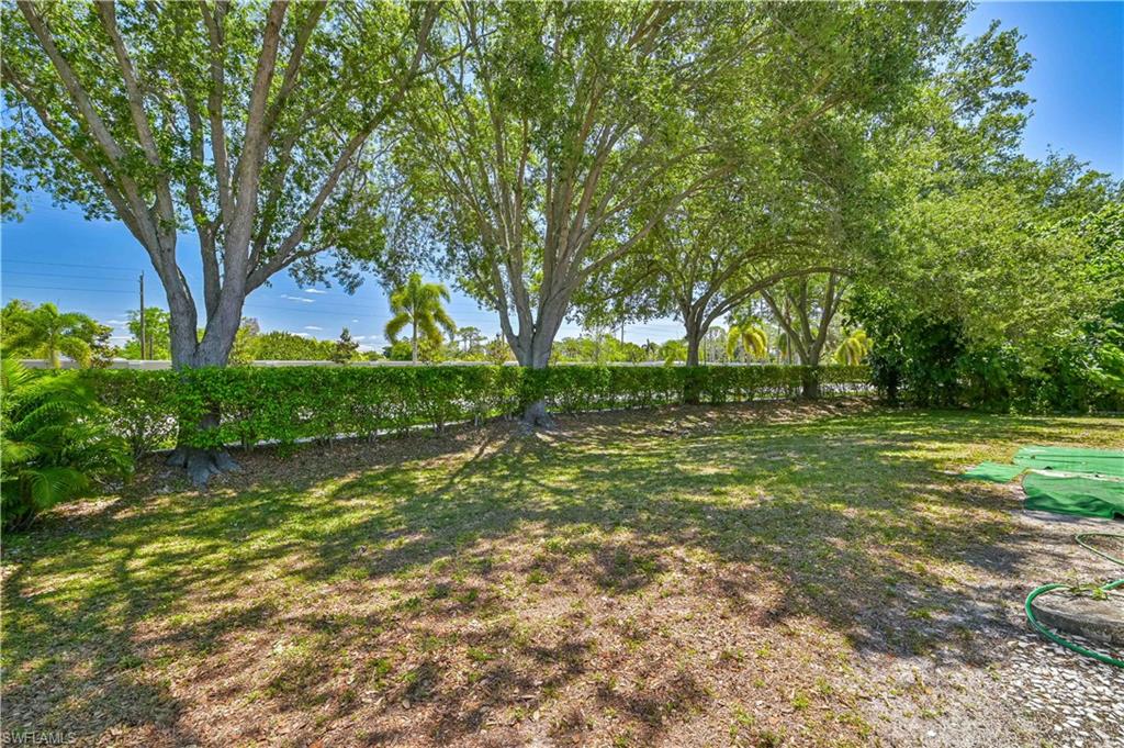 238 Stanhope Circle Naples, FL 34104 - Photo 7 of 33 a view of a garden with trees