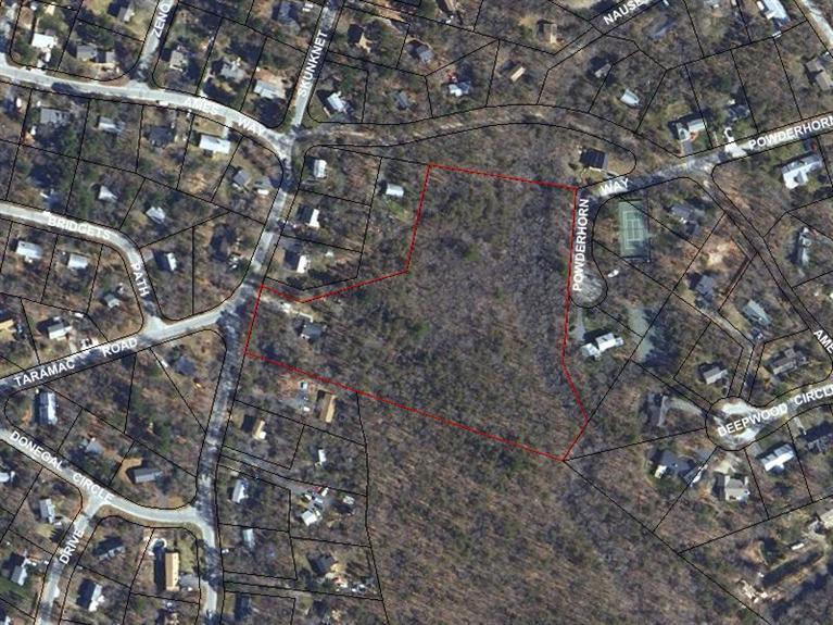 502 Skunknet Road Centerville, MA 02632 - Photo 24 of 24 a picture of tree