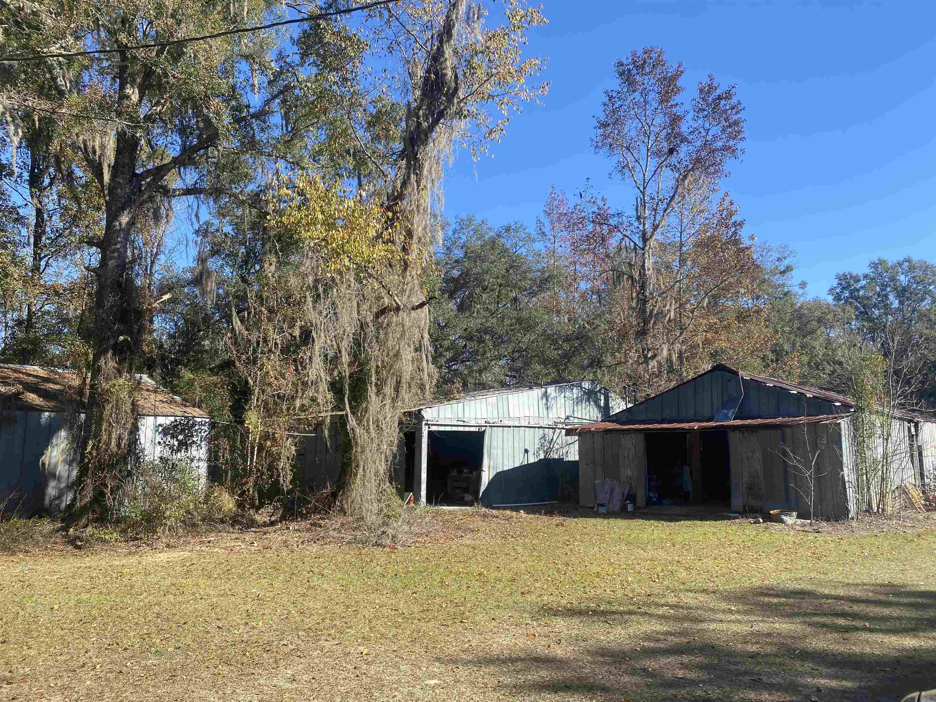 1619 Northeast Bellville Road Pinetta, FL 32350 - Photo 3 of 36 Gallery Image 3