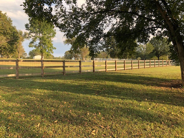 204 Goshen Road Lebanon, TN 37087 - Photo 23 of 24 a view of yard with tree s