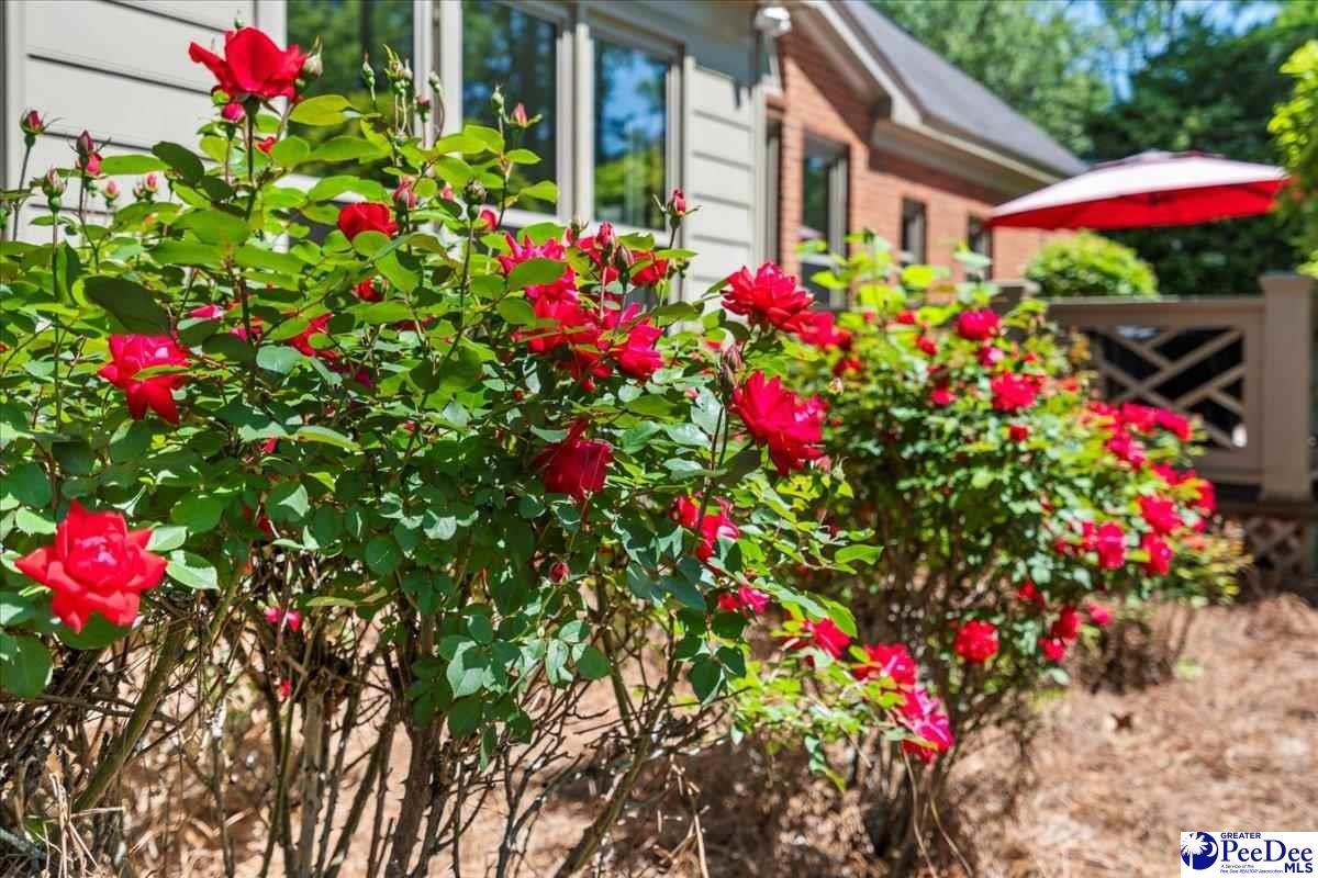 2716 Trotter Road Florence, SC 29501 - Photo 60 of 67 Gallery Image 60