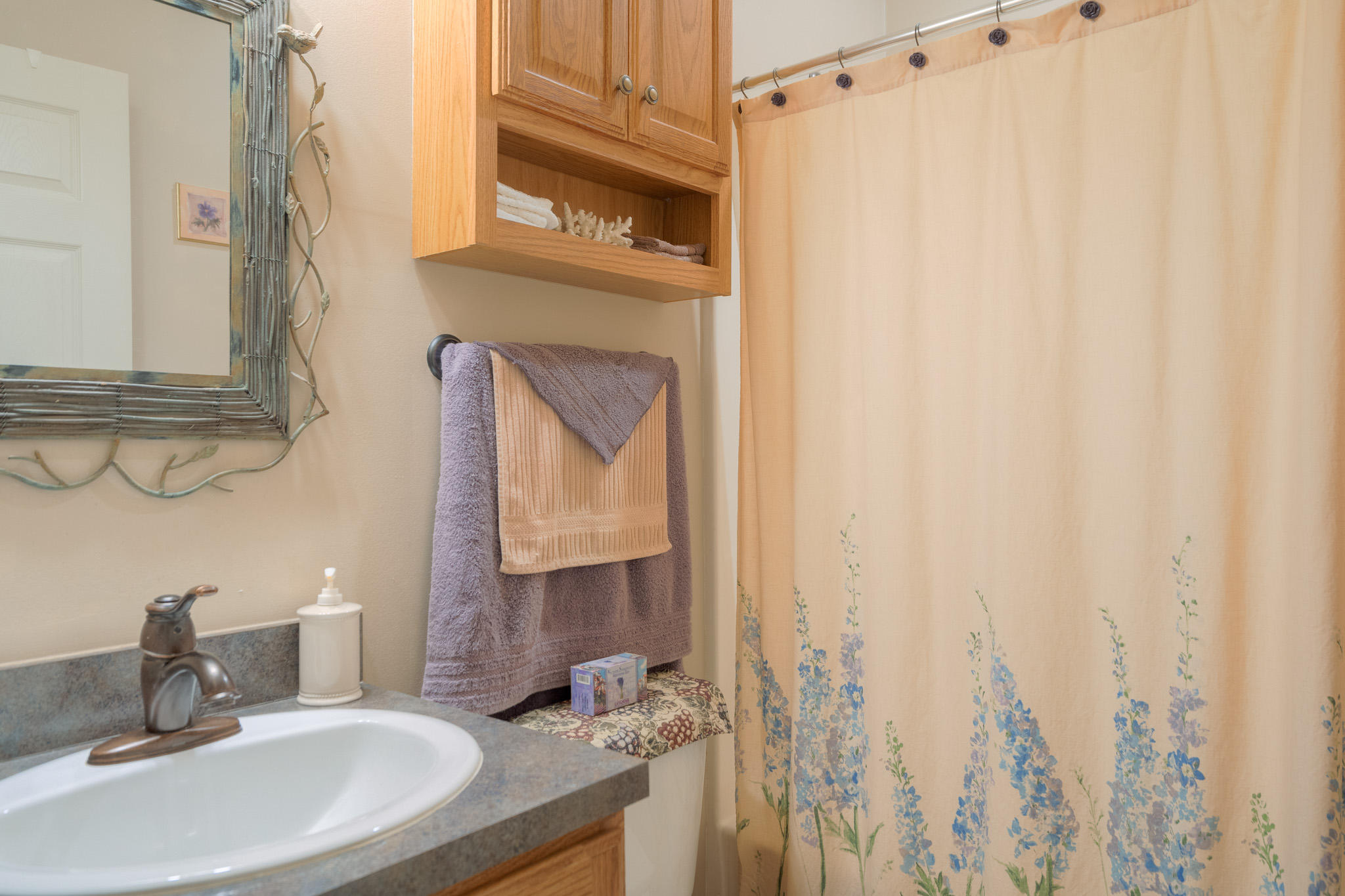355 Sam Reed Road Northwest Floyd, VA 24091 - Photo 22 of 37 a bathroom with a sink a mirror and a shower curtain