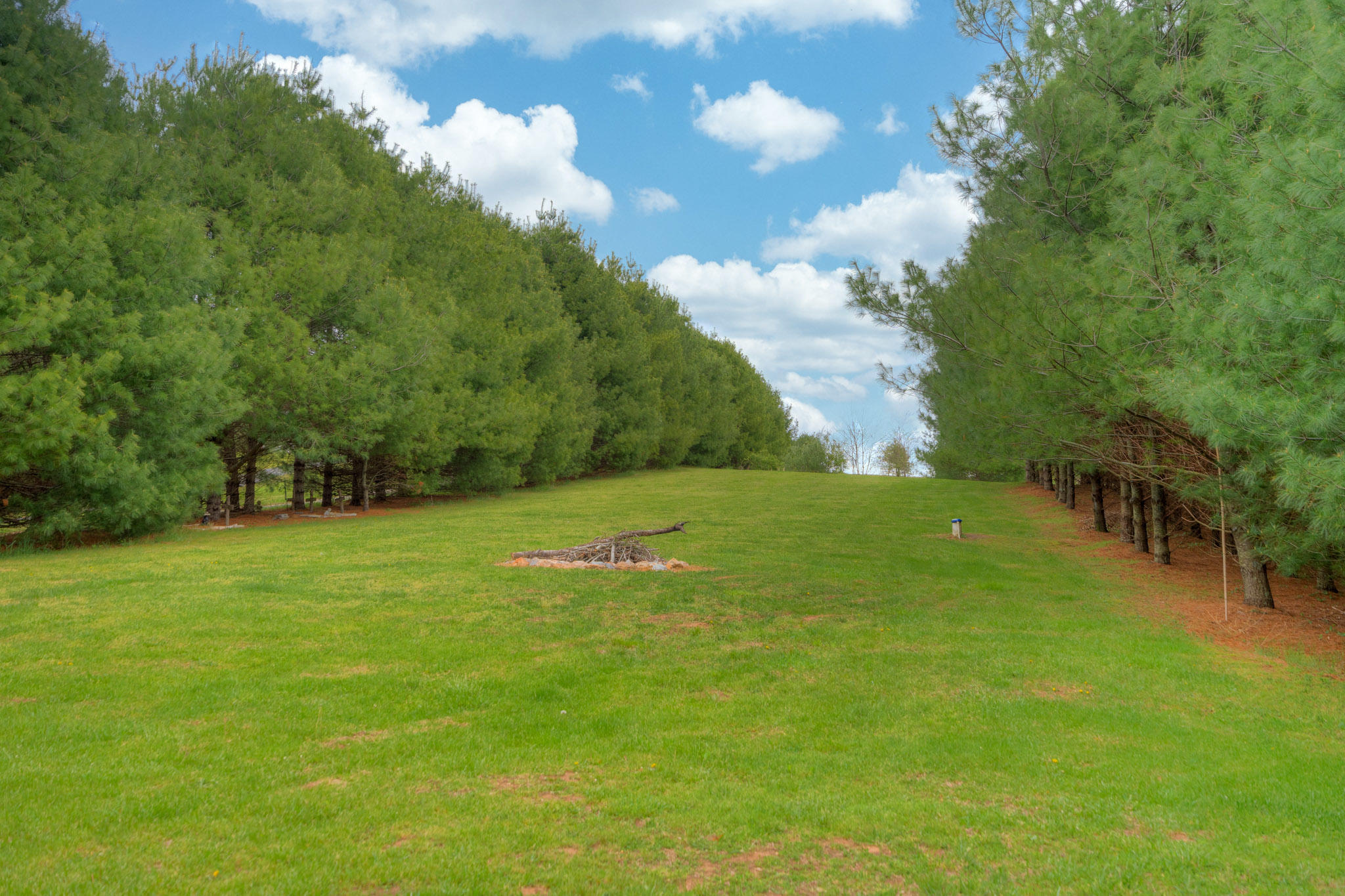 355 Sam Reed Road Northwest Floyd, VA 24091 - Photo 26 of 37 a view of a golf course with a lake