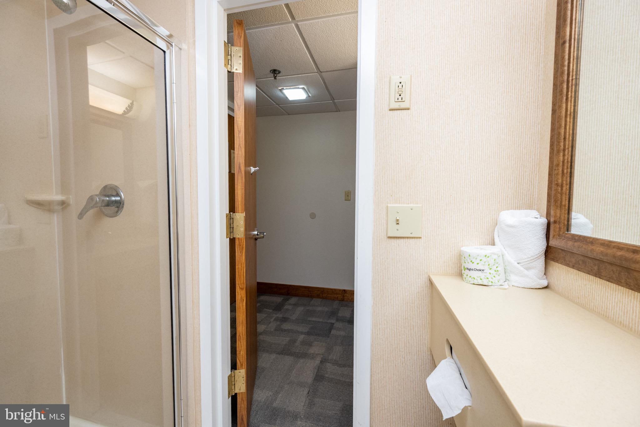 290 Marsh Hill Road, Unit 319C McHenry, MD 21541 - Photo 13 of 33 a bathroom with a sink and a mirror