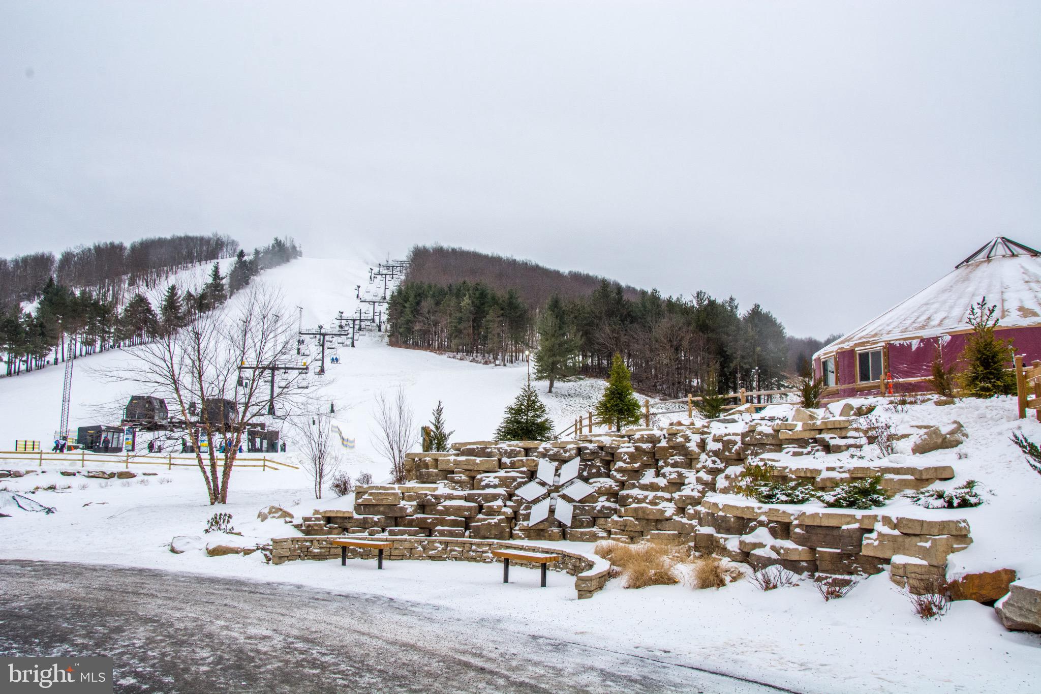 290 Marsh Hill Road, Unit 319C McHenry, MD 21541 - Photo 22 of 33 a view of a city