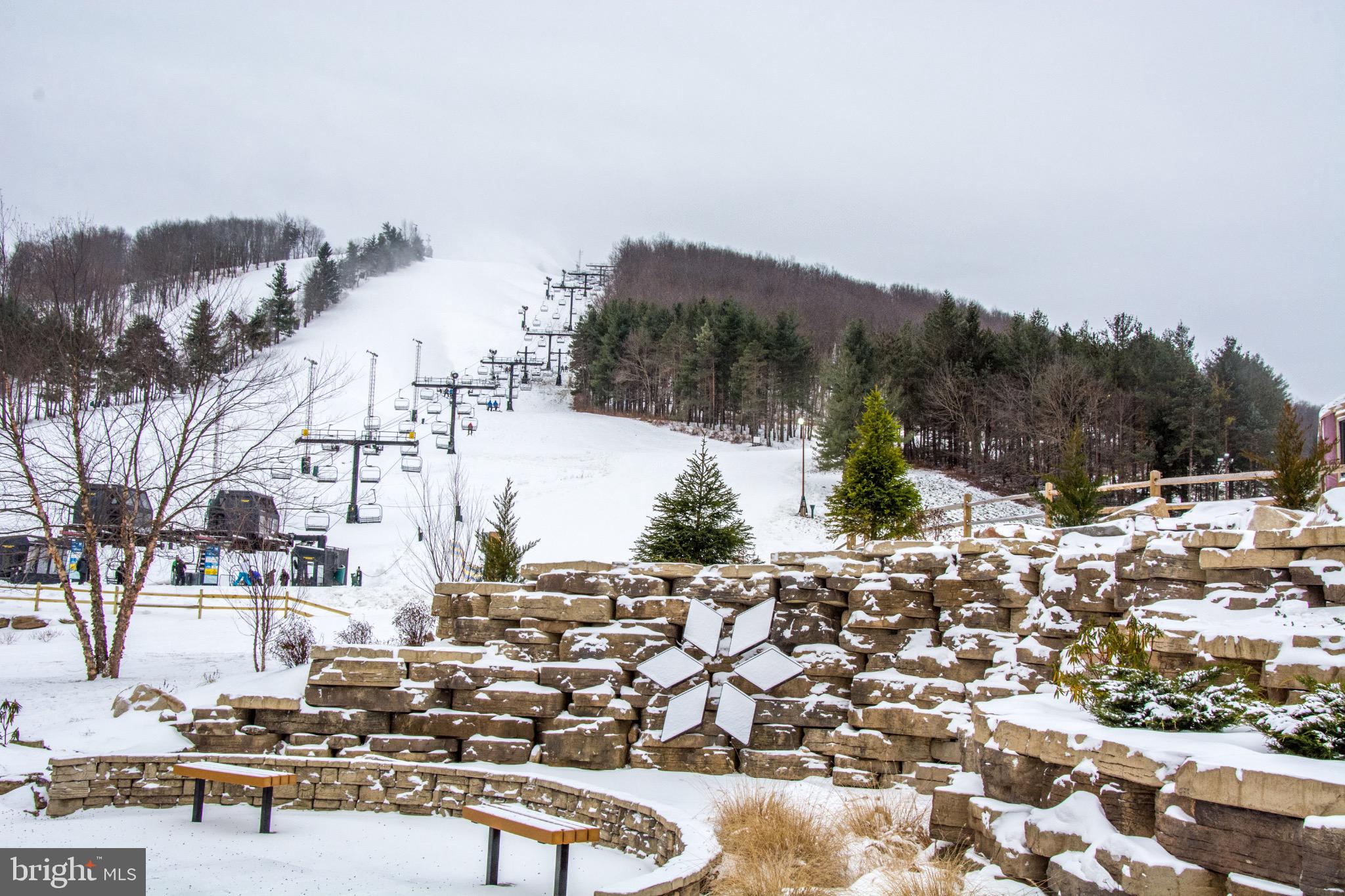 290 Marsh Hill Road, Unit 319C McHenry, MD 21541 - Photo 23 of 33