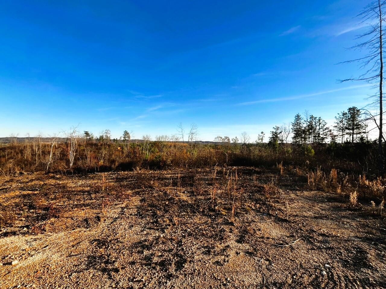 1675 Euchee Road Ten Mile, TN 37880 - Photo 13 of 30