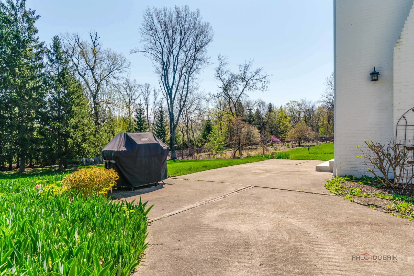 37 Forest Hills Road Lake Bluff, IL 60044 - Photo 38 of 52 a view of a garden with a fountain