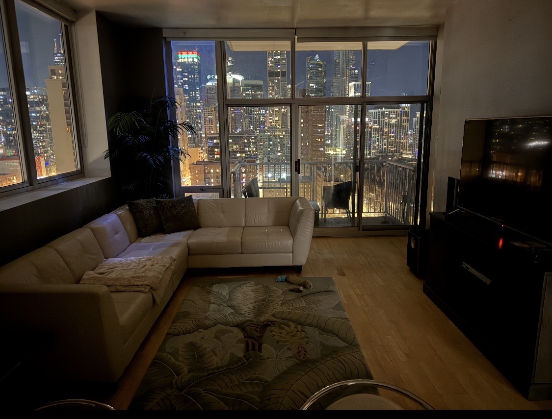 1600 South Indiana Avenue, Unit 1602 Chicago, IL 60616 - Photo 26 of 30 a living room with furniture and a floor to ceiling window