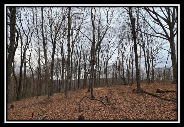 0 Black Run Road, Unit TRACT 8) Chillicothe, OH 45601 - Photo 45 of 47 image047