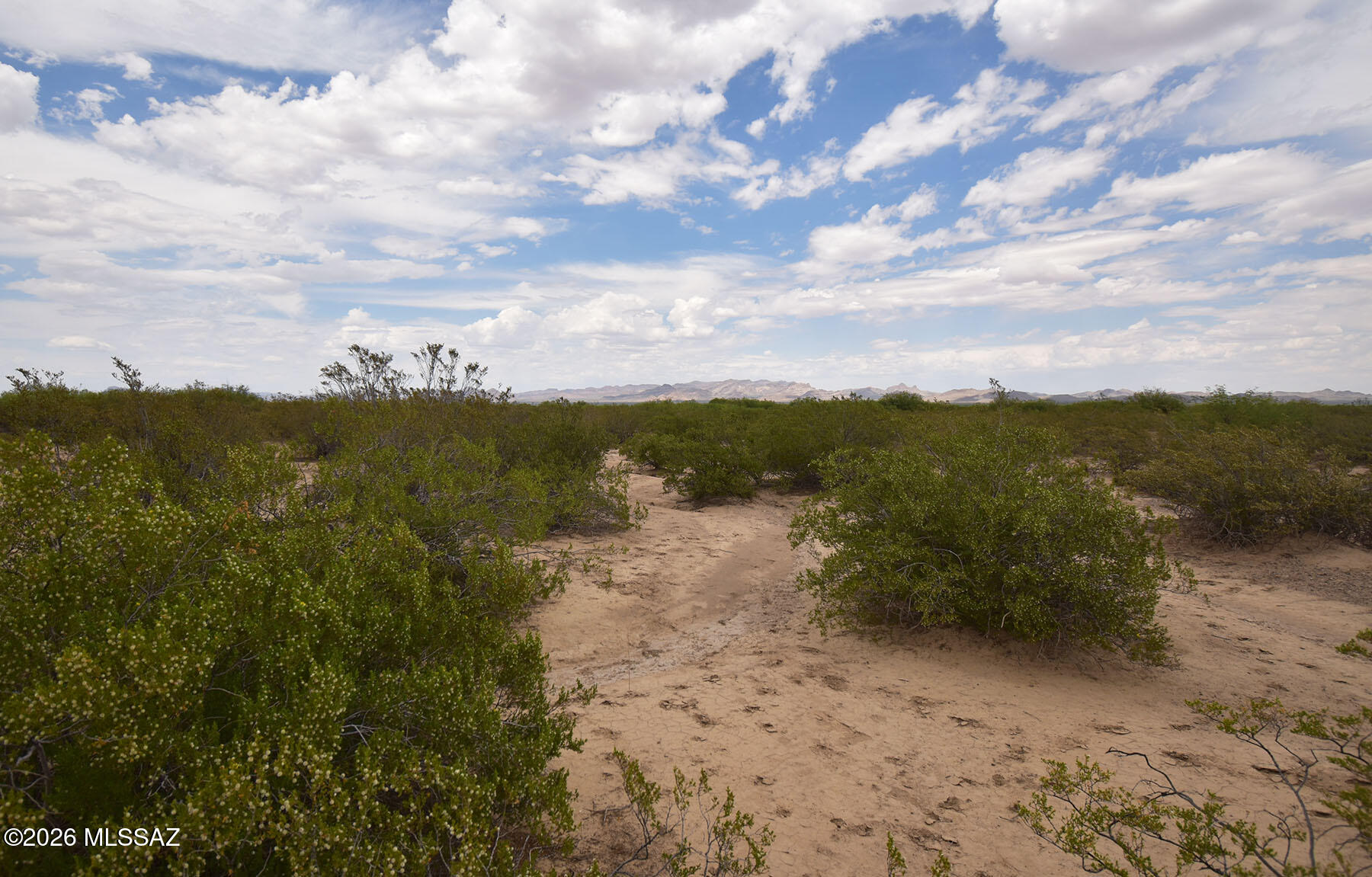 40.7-ac North Parker Road San Simon, AZ 85632 - Photo 12 of 24