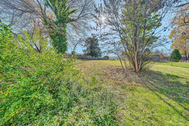 a view of a yard in front of the house