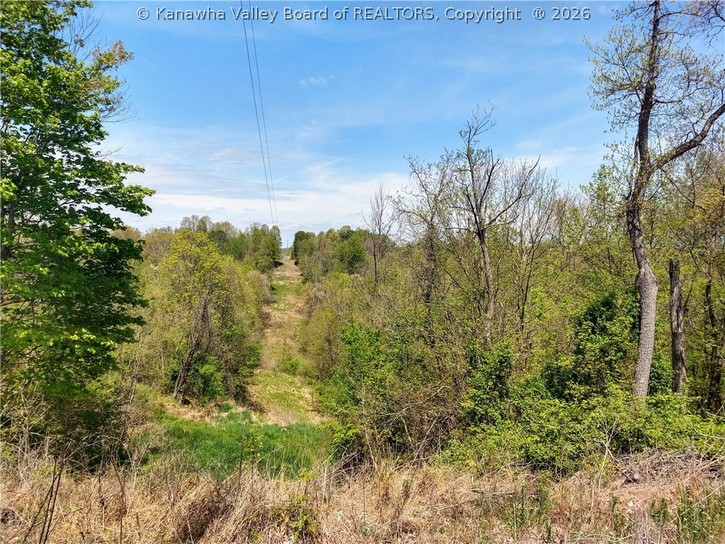 8657 Redmond Ridge Road Gallipolis Ferry, WV 25515 - Photo 9 of 28 Gallery Image 9
