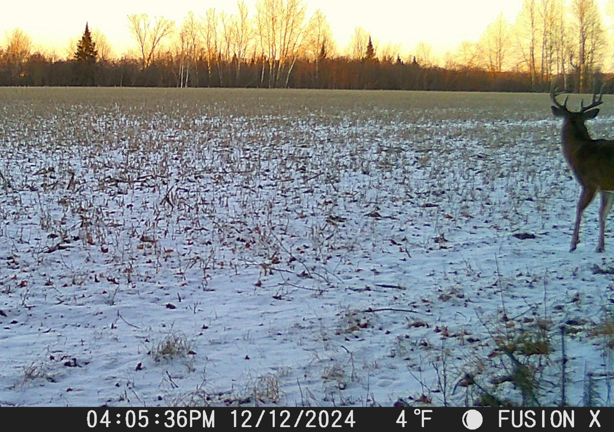 W181 Midway Road Hawkins, WI 54530 - Photo 11 of 56 Gallery Image 11