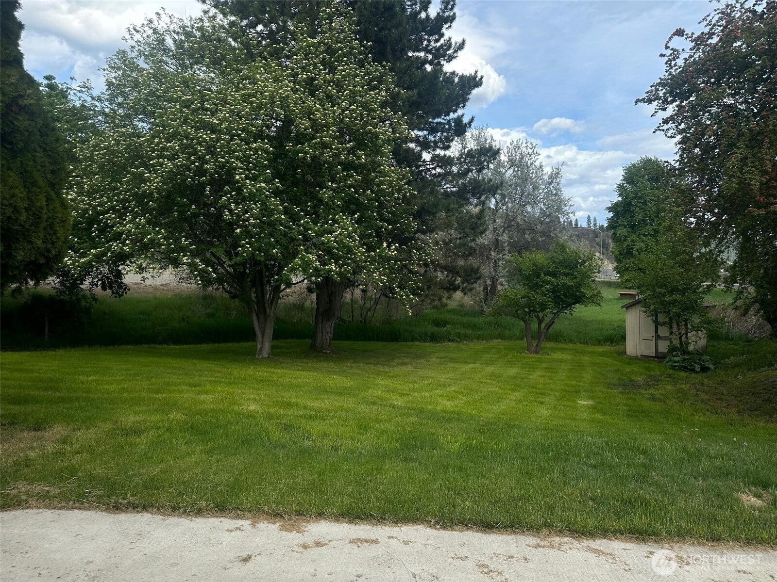 526 Greenwood Loop Road Kettle Falls, WA 99141 - Photo 7 of 35 a view of grassy field with trees