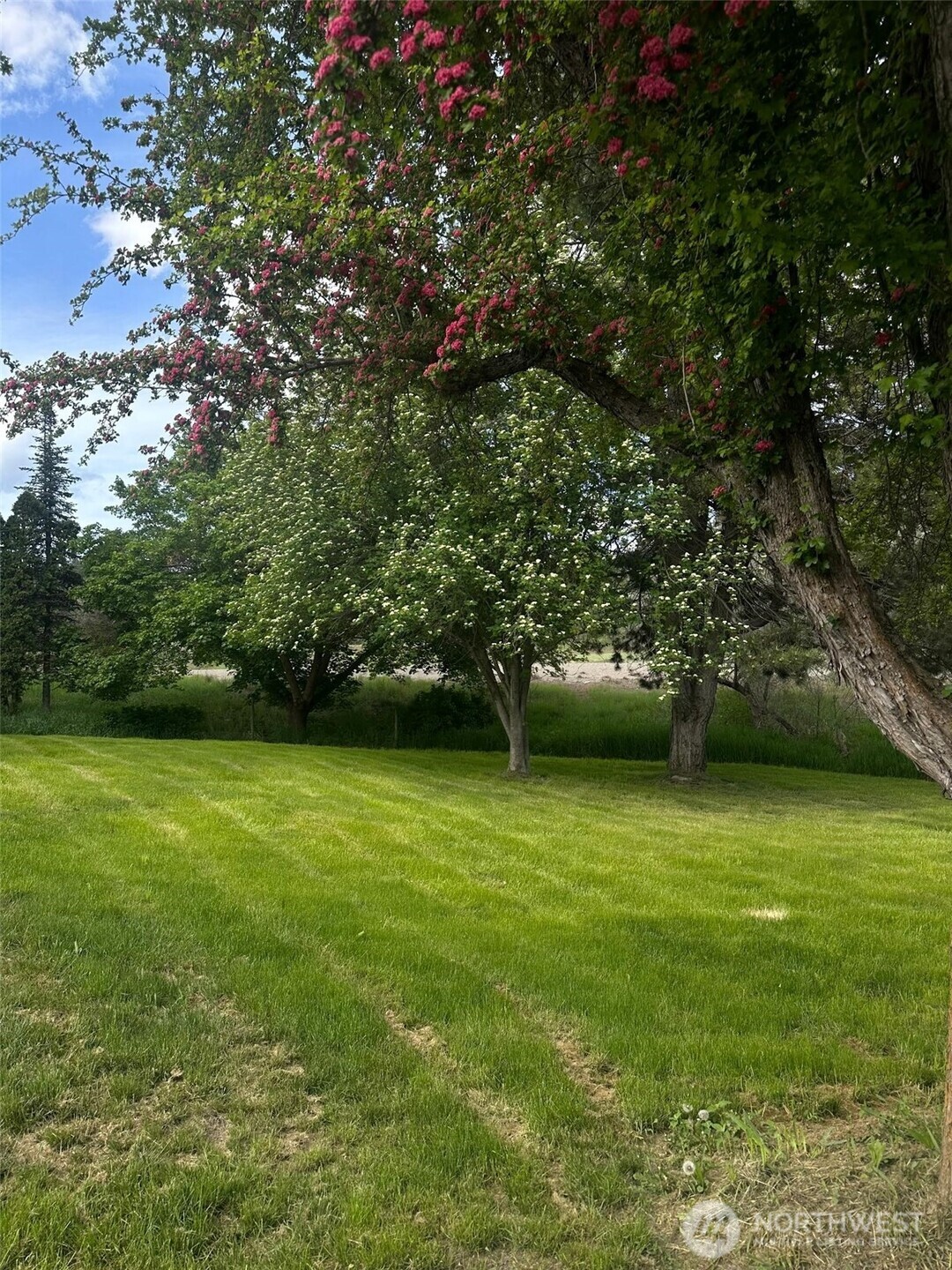 526 Greenwood Loop Road Kettle Falls, WA 99141 - Photo 8 of 35