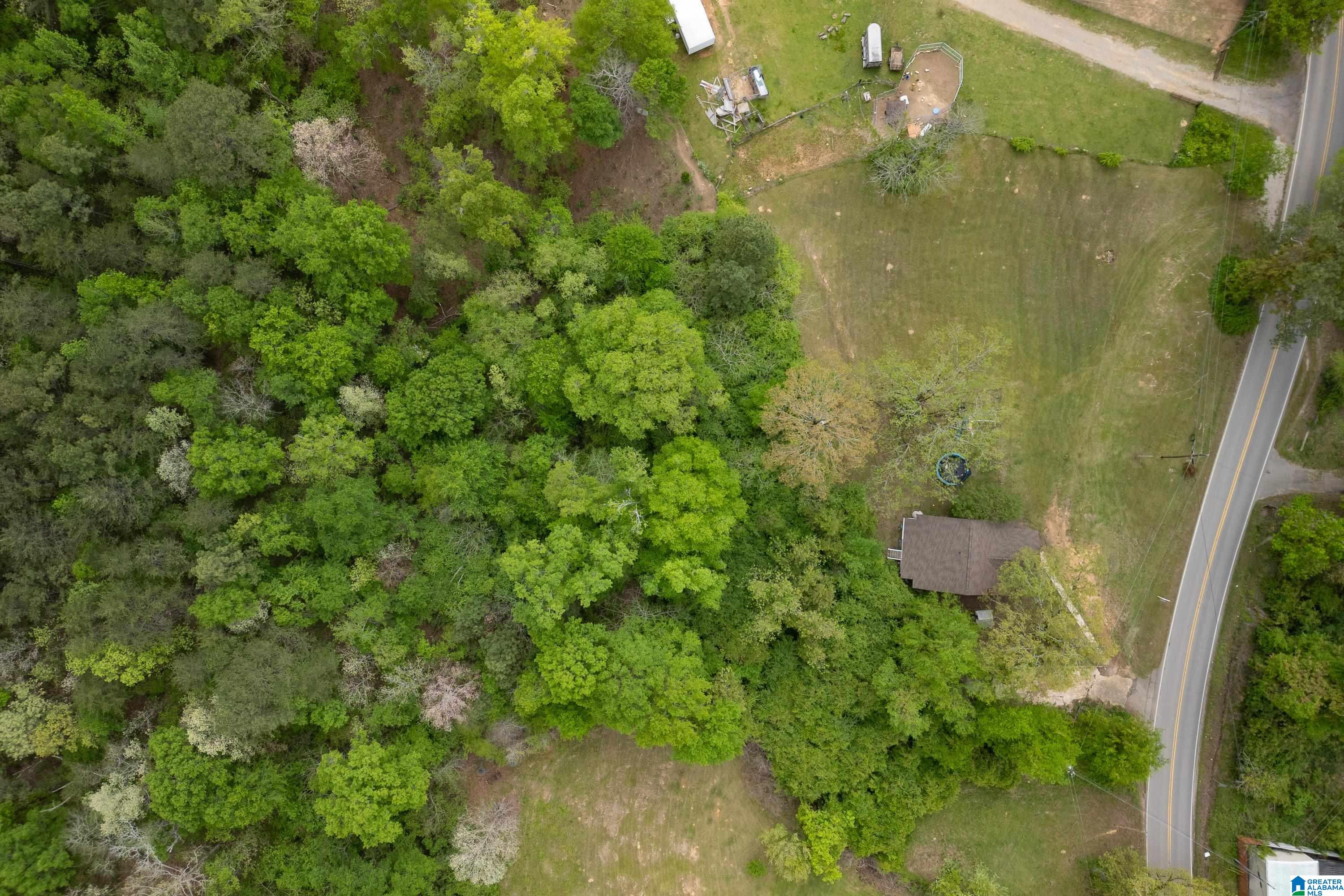 5781 Mud Creek Road Adger, AL 35006 - Photo 25 of 36
