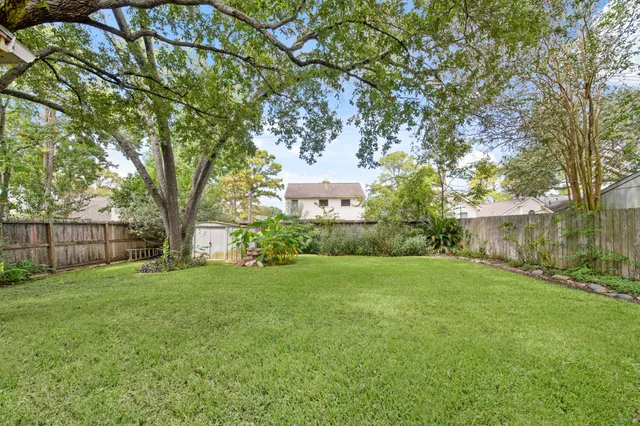 a view of a big yard with plants and large trees
