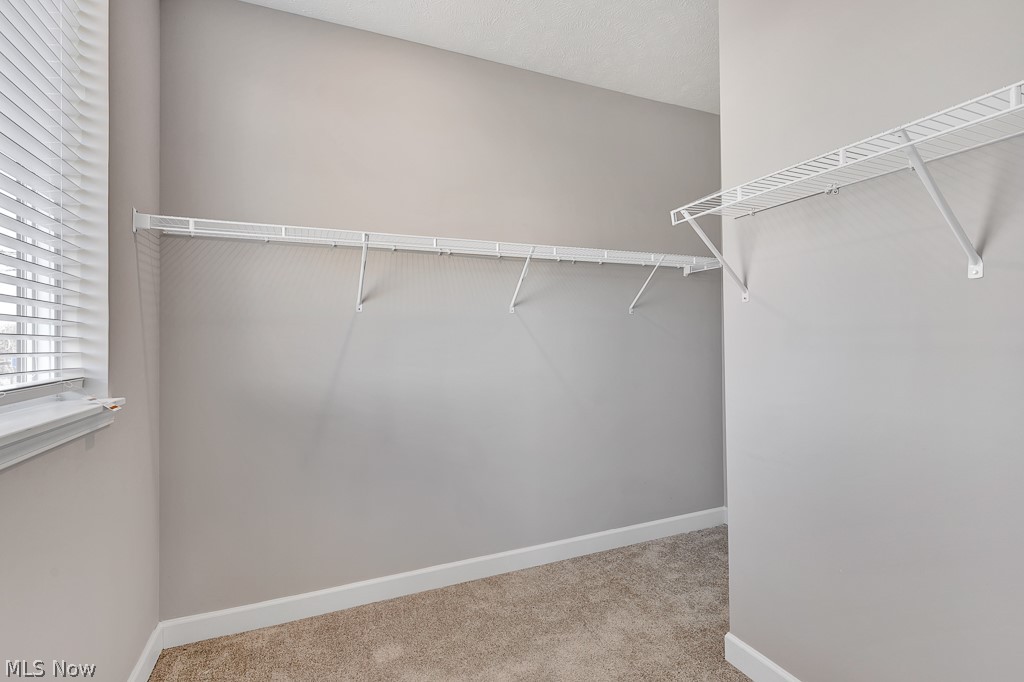 3601 Bailey Avenue Cleveland, OH 44113 - Photo 20 of 22 Walk in closet featuring light carpet