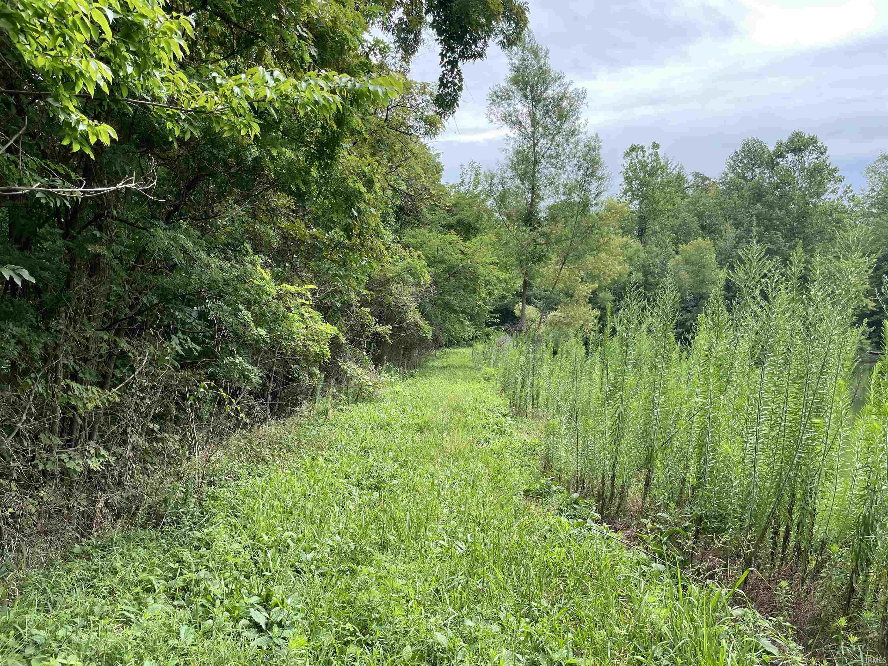 Oliver Road Wadesville, IN 47638 - Photo 12 of 14 Gallery Image 12