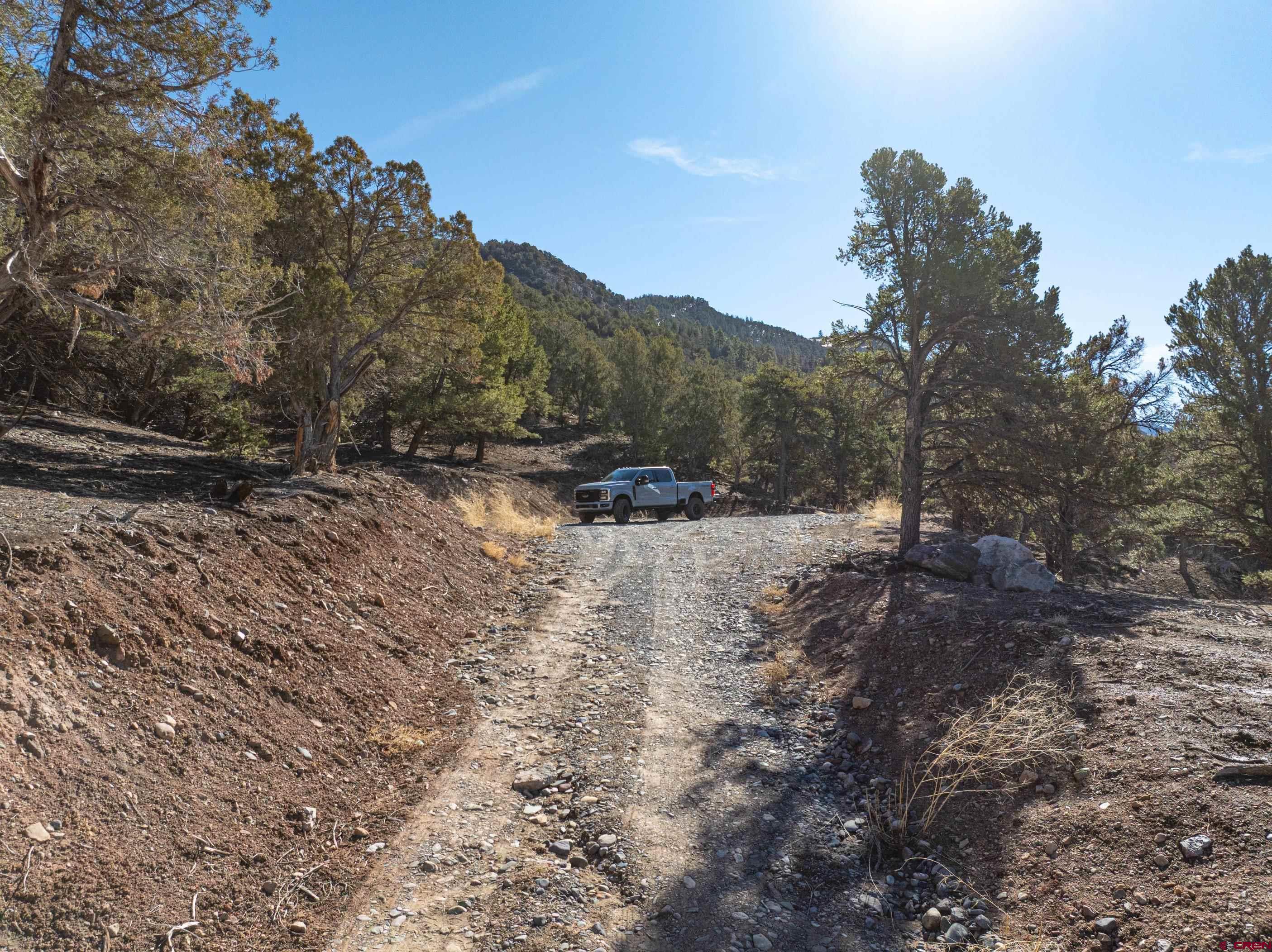 Tbd Elsie Trail Ridgway, CO 81432 - Photo 14 of 35 a view of a dry yard with trees in the background