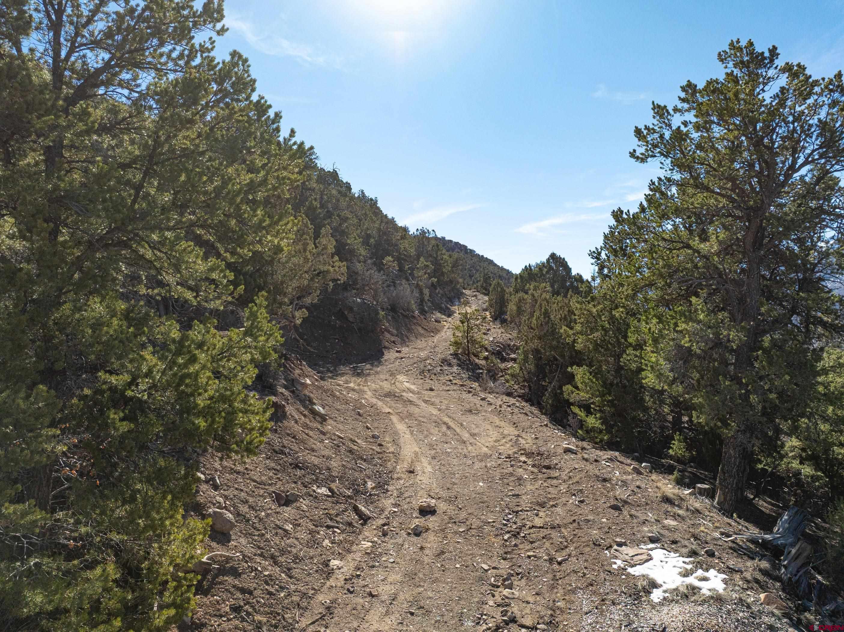 Tbd Elsie Trail Ridgway, CO 81432 - Photo 20 of 35 a view of a dry yard with trees in the background