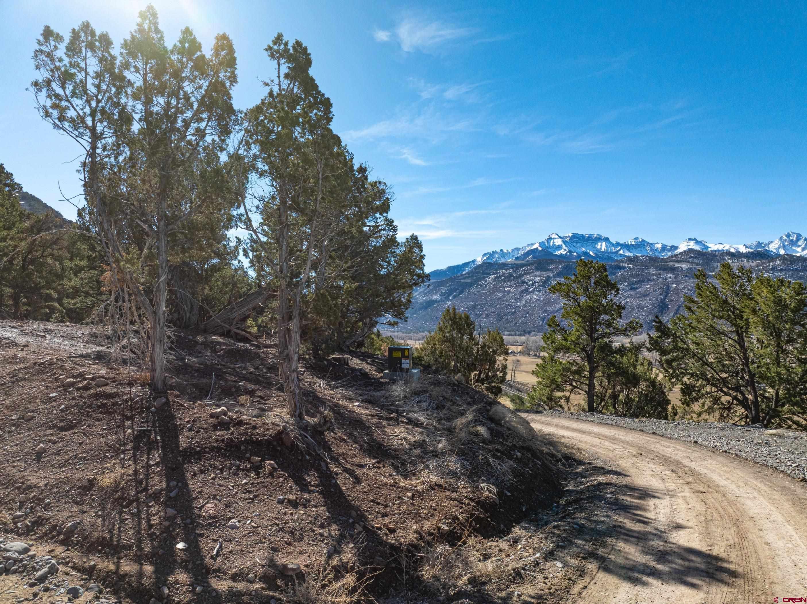 Tbd Elsie Trail Ridgway, CO 81432 - Photo 2 of 35 a view of a tree in a yard