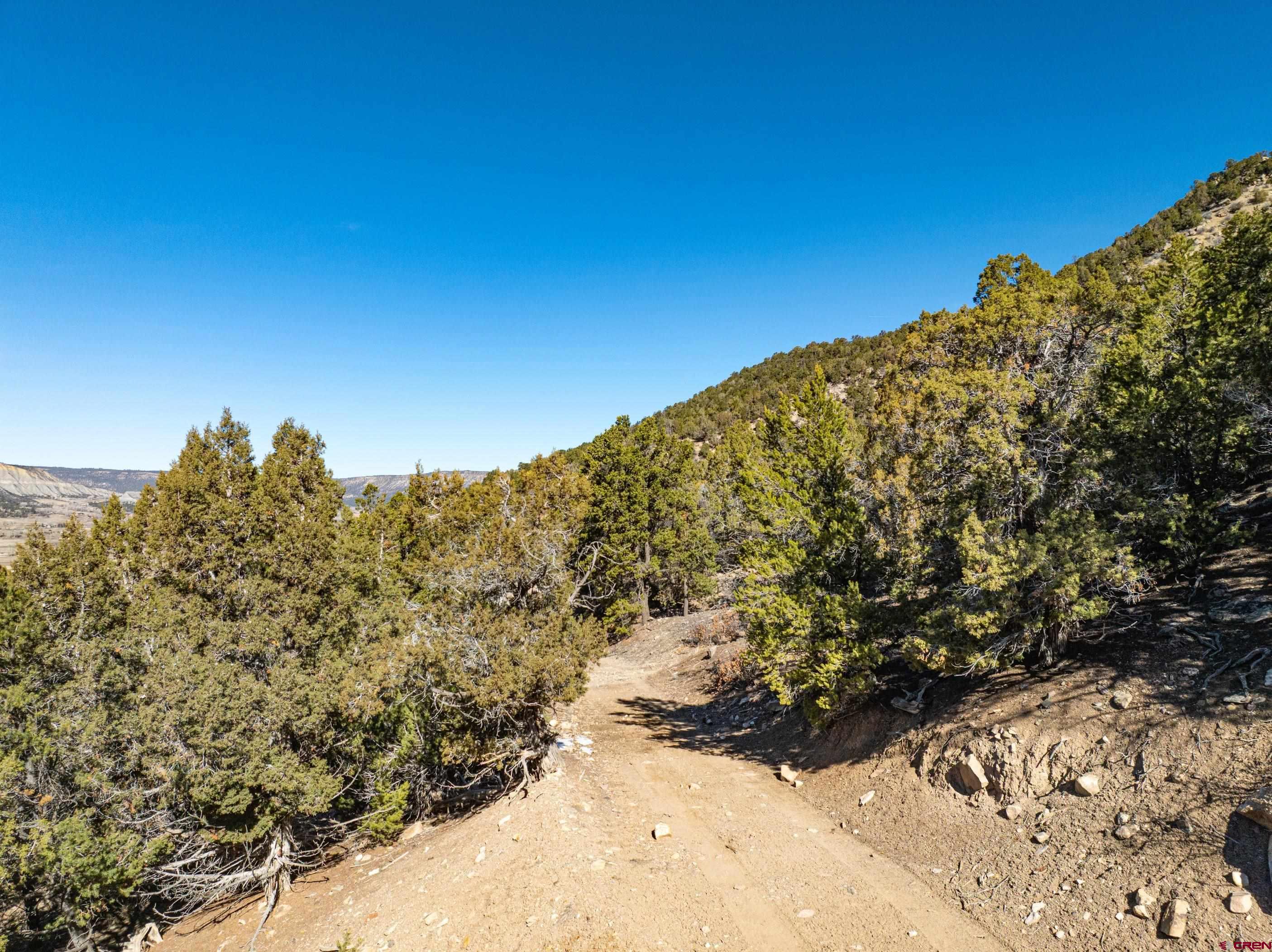 Tbd Elsie Trail Ridgway, CO 81432 - Photo 22 of 35 a view of a large tree with a yard