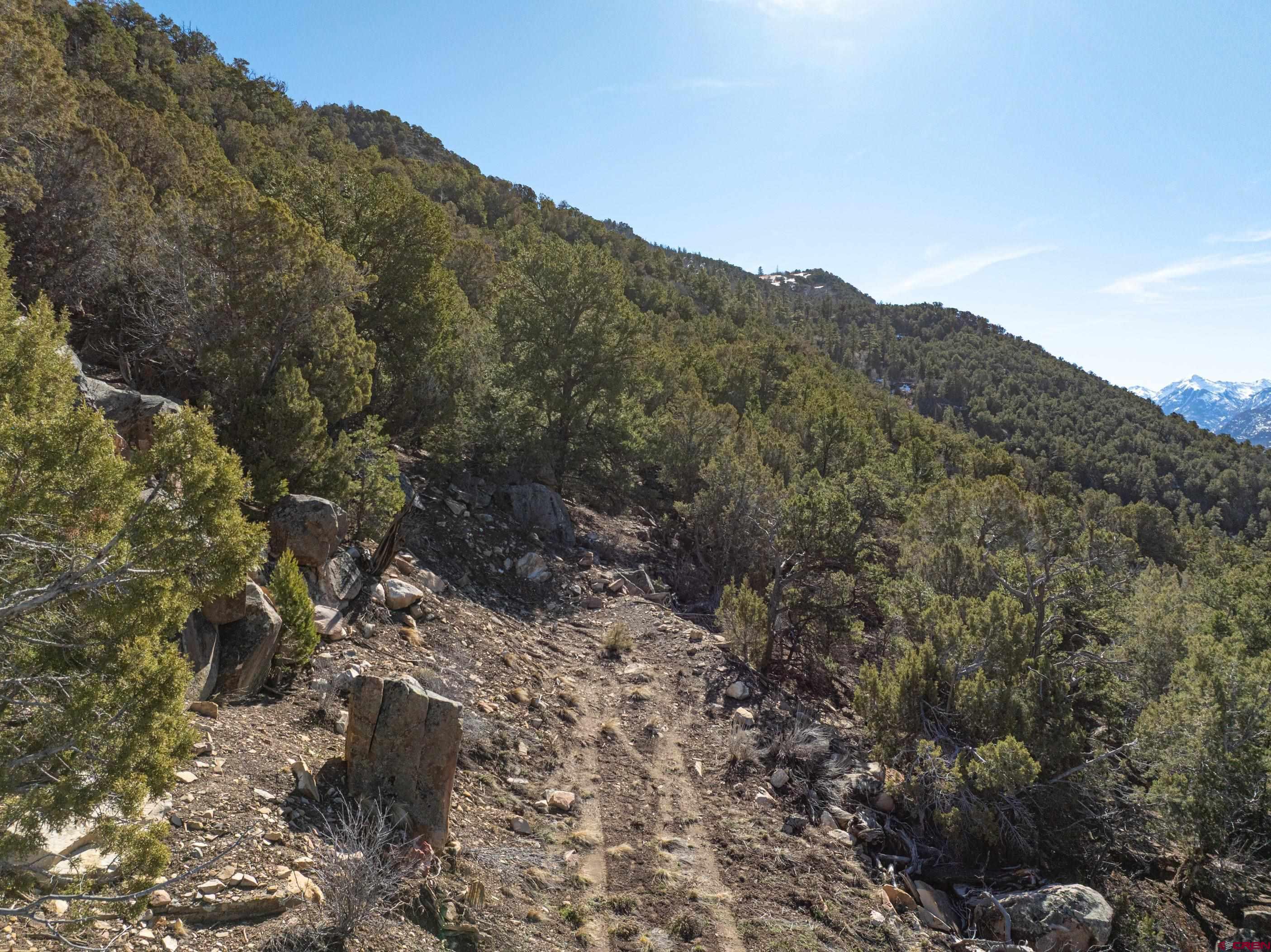 Tbd Elsie Trail Ridgway, CO 81432 - Photo 28 of 35 a view of a dry field with mountains in the background