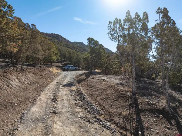 a view of a dry yard with mountains in the background