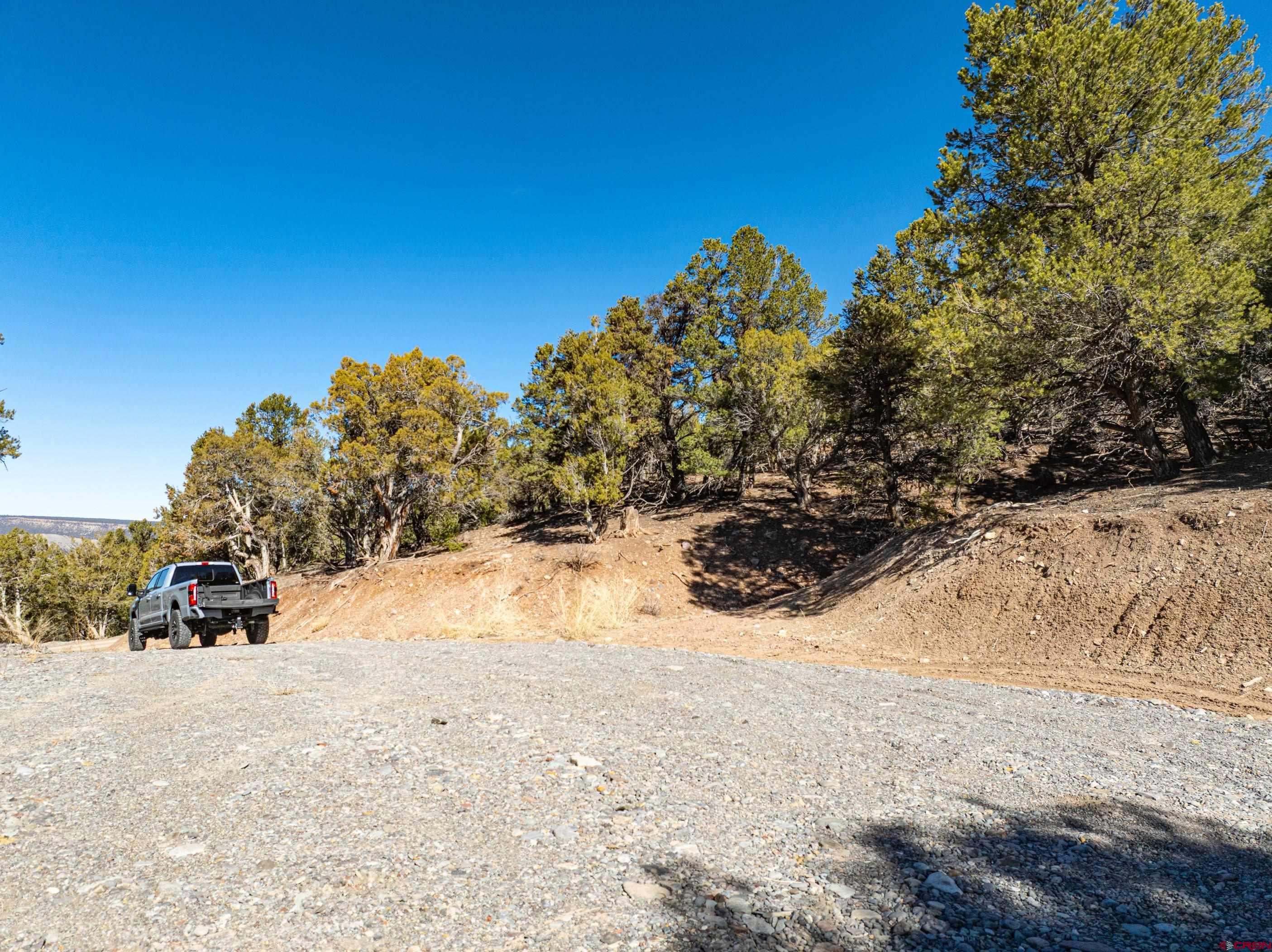 Tbd Elsie Trail Ridgway, CO 81432 - Photo 35 of 35 a view of a yard covered with snow in front of house