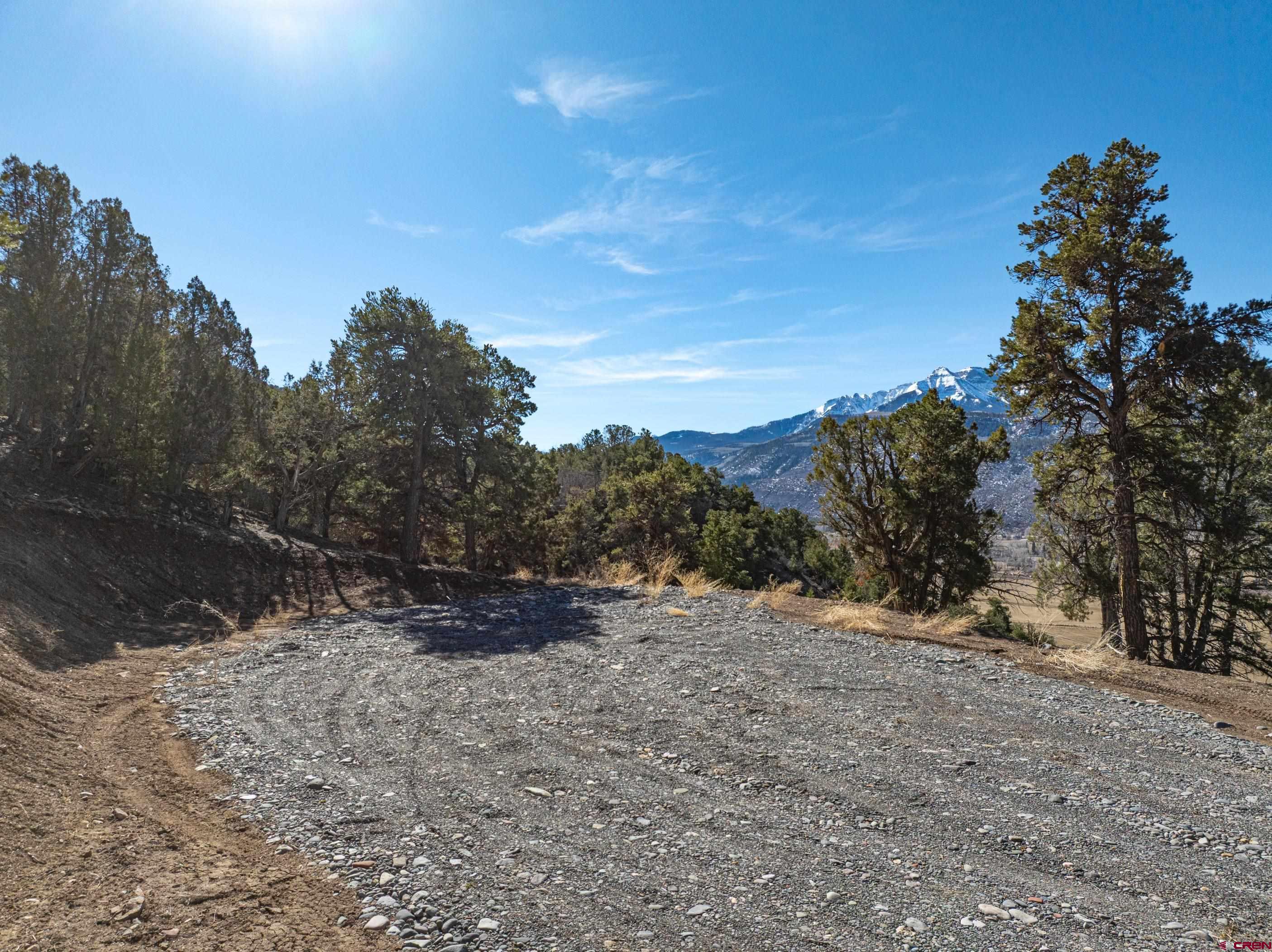 Tbd Elsie Trail Ridgway, CO 81432 - Photo 4 of 35 a view of a dry yard
