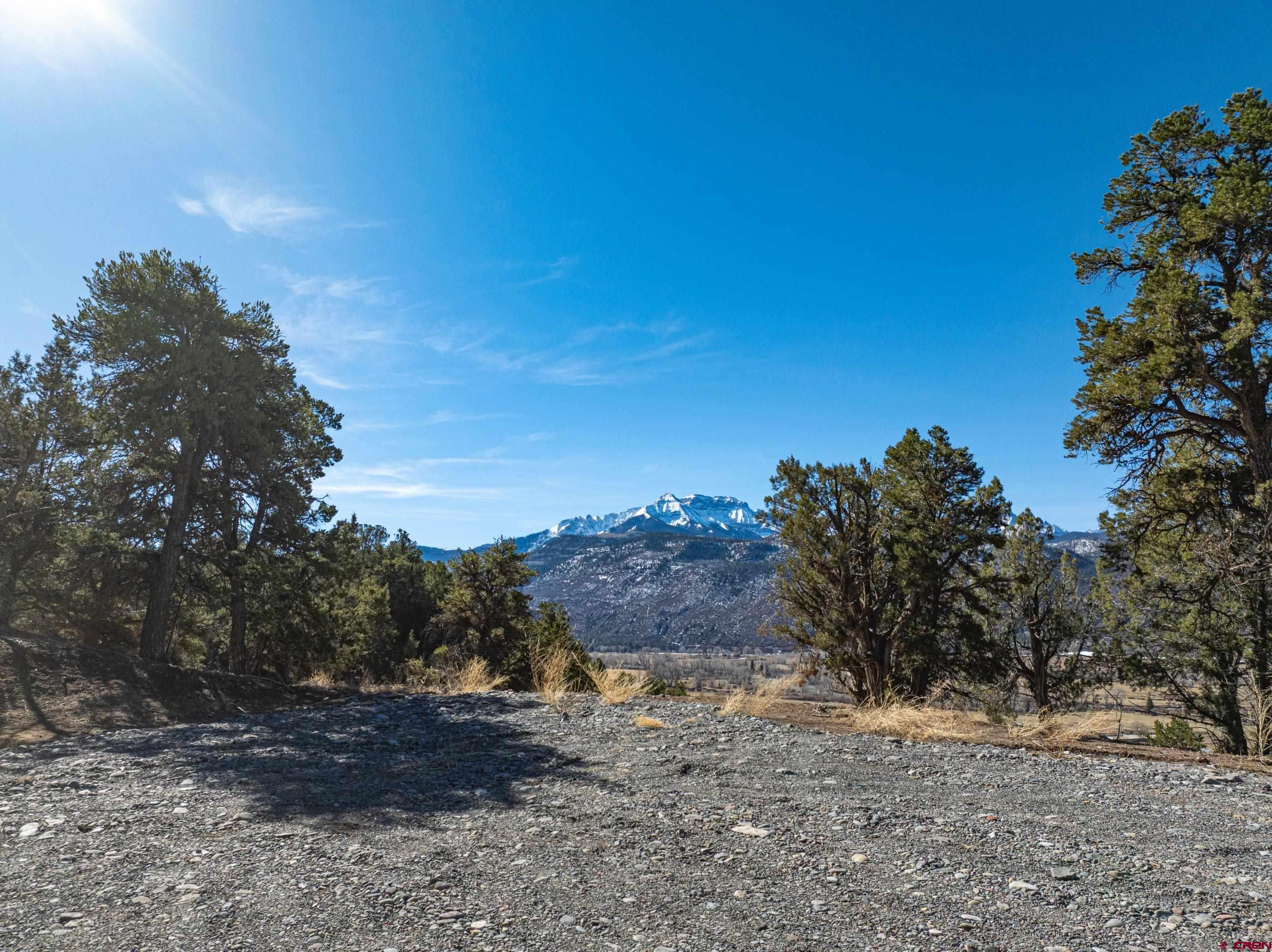 Tbd Elsie Trail Ridgway, CO 81432 - Photo 5 of 35 a view of a dry yard